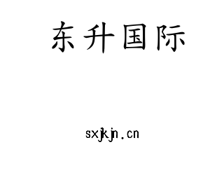 东升国际集团